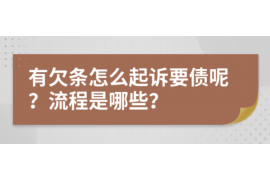 佳县为什么选择专业追讨公司来处理您的债务纠纷？